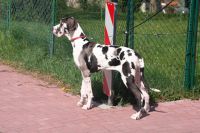 image_IMG_9806 image_IMG_9806