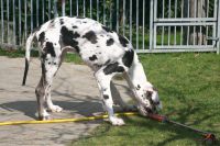 image_IMG_9794 image_IMG_9794