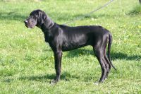 image_IMG_9941 image_IMG_9941