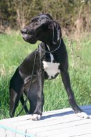 image_IMG_9958 image_IMG_9958