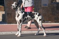 image_IMG_0179 image_IMG_0179