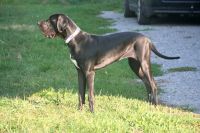 image_IMG_0125 image_IMG_0125