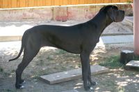 image_IMG_0055 image_IMG_0055