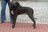 image_IMG_0001b image_IMG_0001b